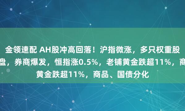 金領(lǐng)速配 AH股沖高回落！滬指微漲，多只權(quán)重股尾盤(pán)競(jìng)價(jià)遭拋盤(pán)，券商爆發(fā)，恒指漲0.5%，老鋪黃金跌超11%，商品、國(guó)債分化